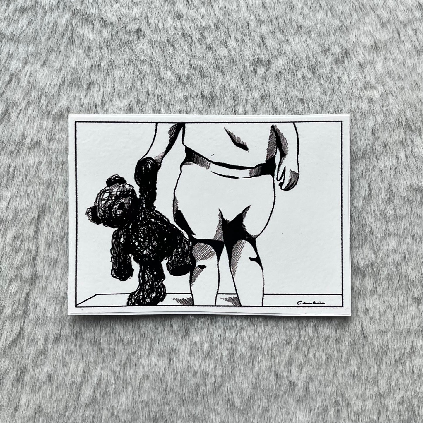 teddy