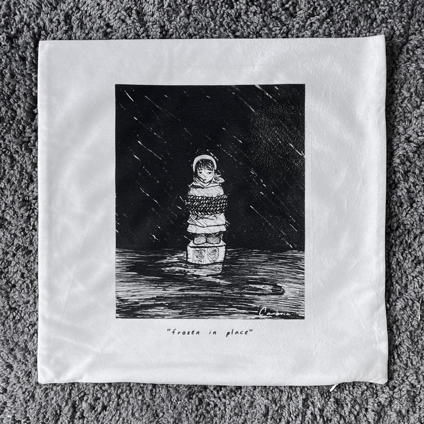 "frozen in place" pillowcase