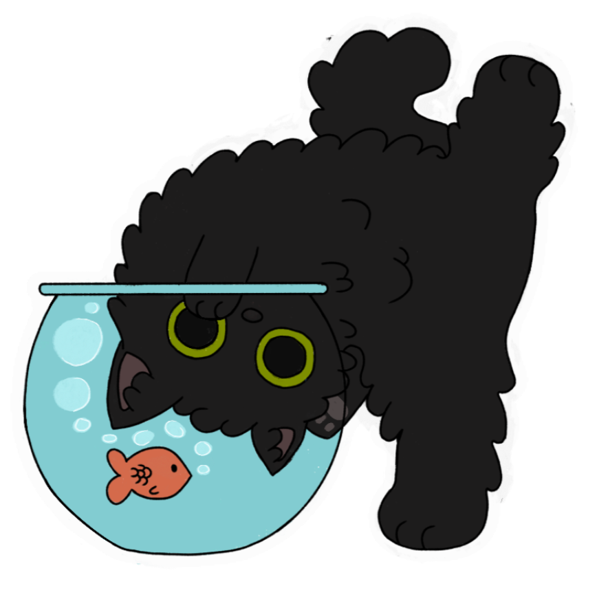cat with fishbowl