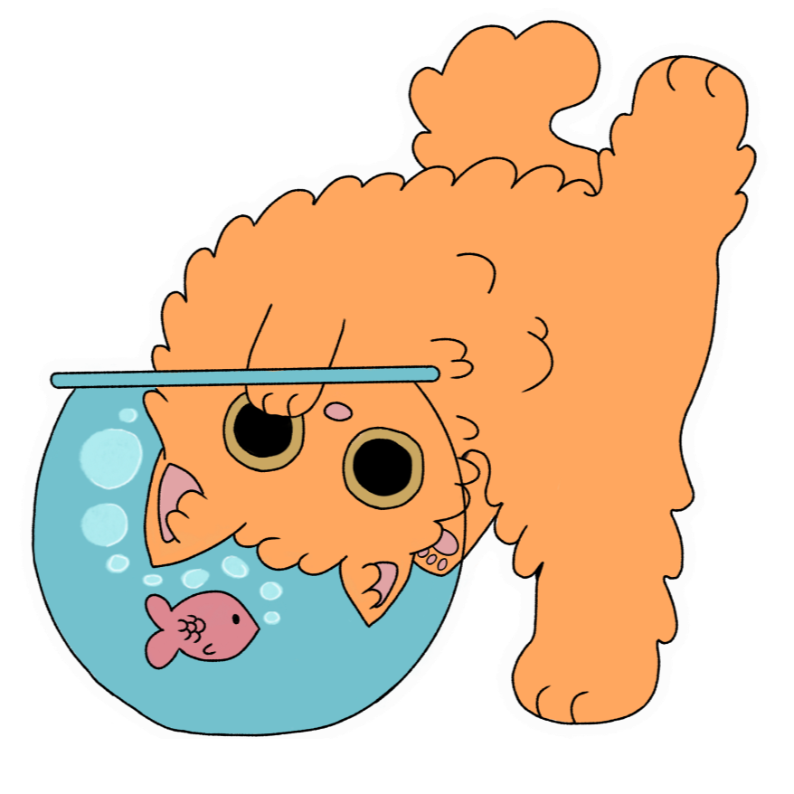 cat with fishbowl